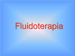 Fluidoterapia